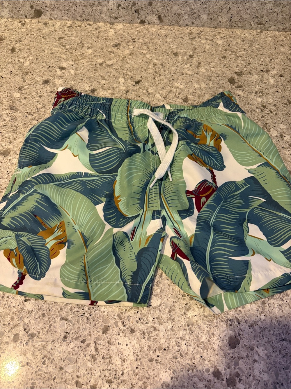 Sant and Abel x cw Stockwell Collab Swim Trunks Banana Martinique Leaf